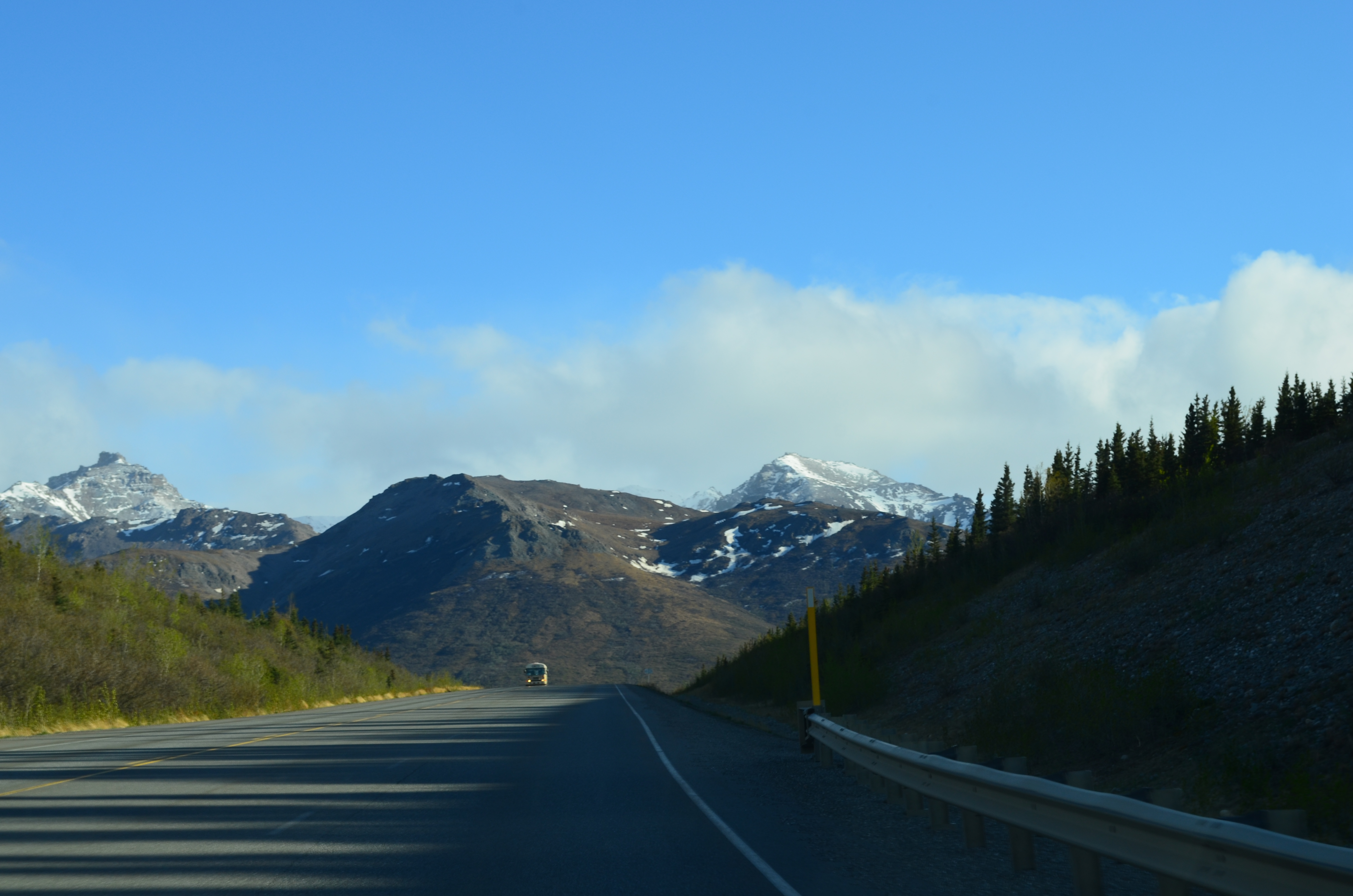 ./2017/08 - Alaska Cruise/03 - Denali/DSC_0164.JPG